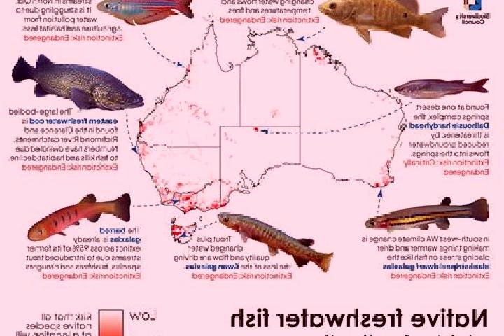 Escorts Freshwater, Australia — Local Companions