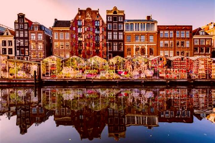 Escorts Frieschepalen, Netherlands — Local Companions