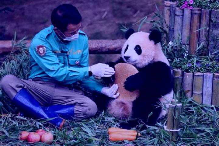Escorts Fubao, China — Local Companions