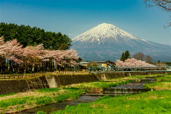 Escorts Fukui-shi, Japan — Local Companions
