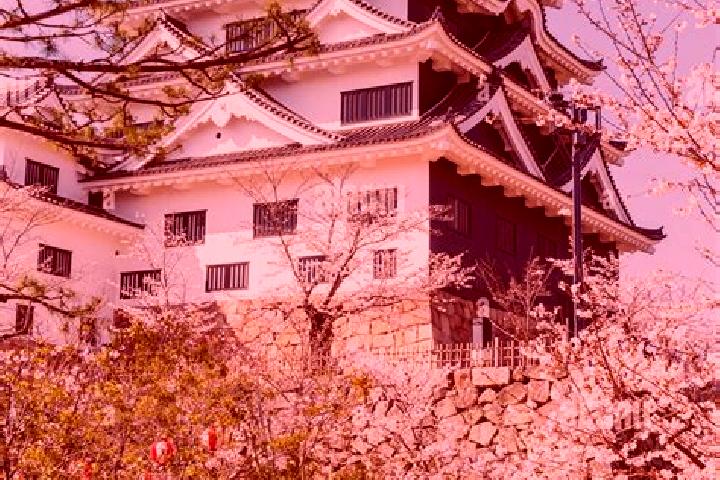 Escorts Fukuyama, Japan — Local Companions