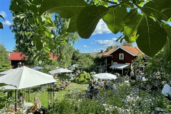 Escorts Gagnef, Sweden — Local Companions
