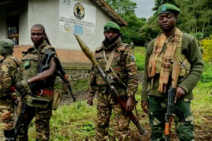 Escorts Gandajika, DR Congo — Local Companions