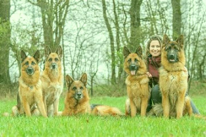 Escorts Garding, Germany — Local Companions