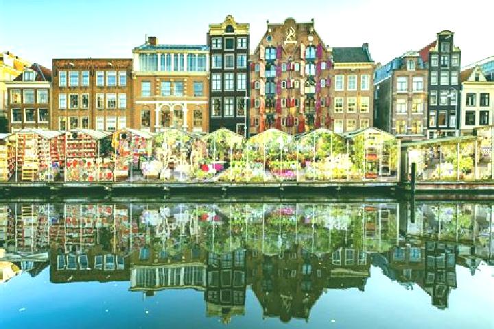 Escorts Gasselternijveen, Netherlands — Local Companions