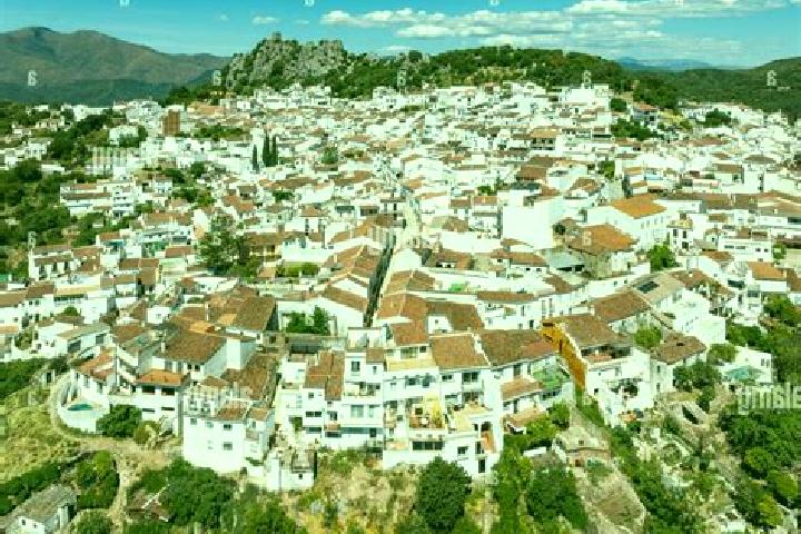 Escorts Gaucin, Spain — Local Companions
