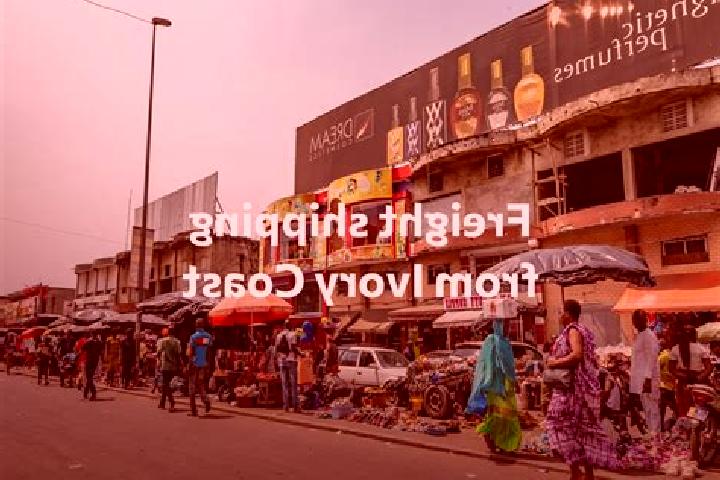 Escorts Gbogbo, Ivory Coast — Local Companions