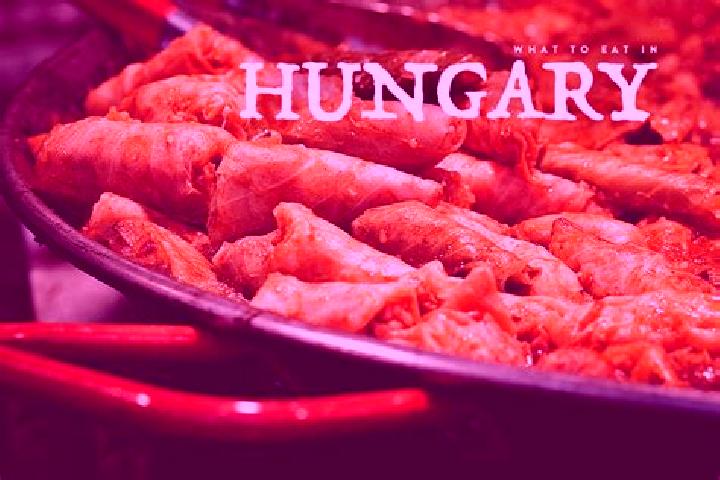 Escorts Gederlak, Hungary — Local Companions