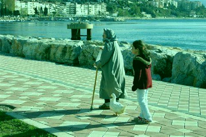 Escorts Gemlik, Turkey — Local Companions
