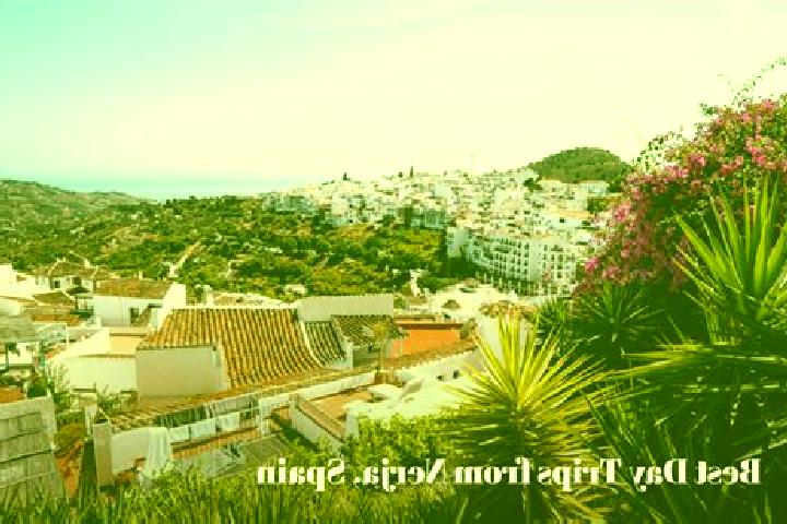 Escorts Genoves, Spain — Local Companions