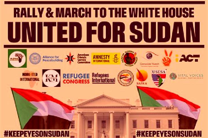 Escorts Gereida, Sudan — Local Companions