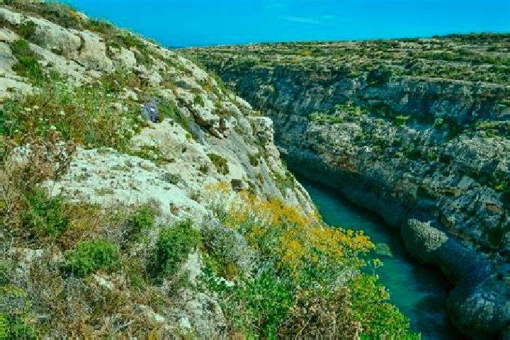 Escorts Ghasri, Malta — Local Companions