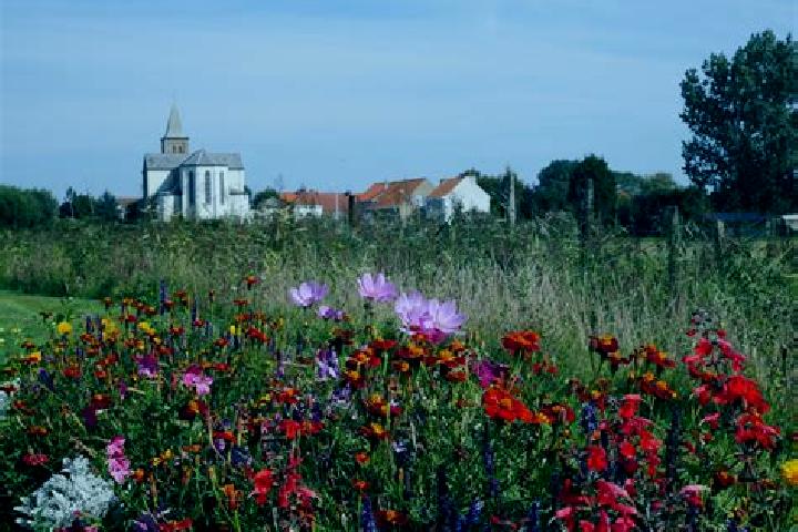 Escorts Ghyvelde, France — Local Companions