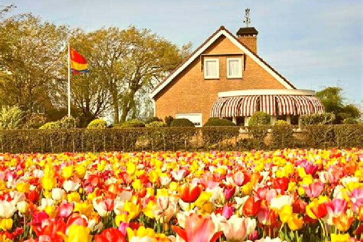 Escorts Giessendam, Netherlands — Local Companions
