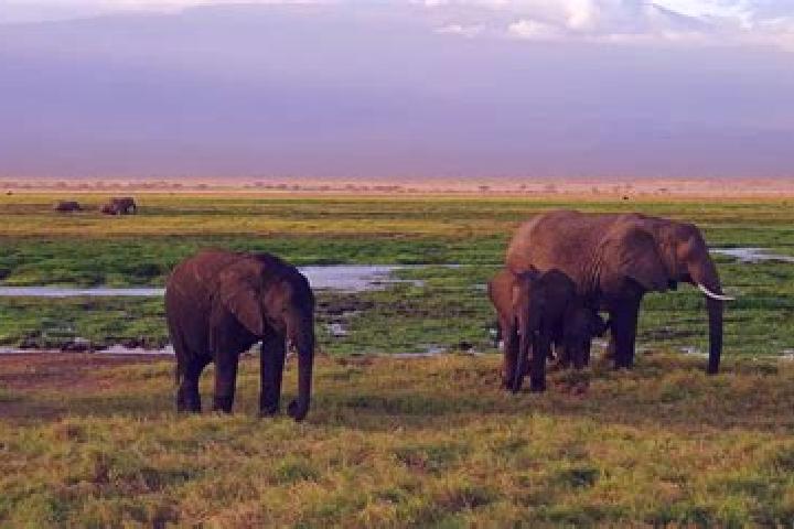Escorts Gilgil, Kenya — Local Companions