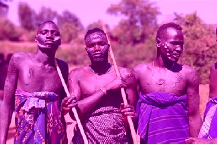 Escorts Gimbi, Ethiopia — Local Companions