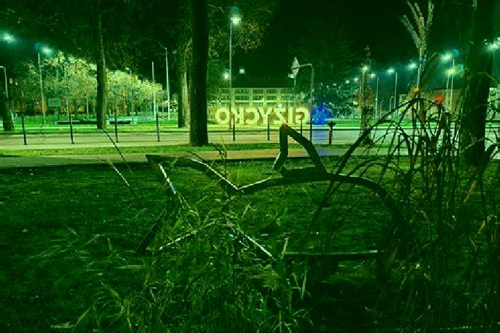 Escorts Gizycko, Poland — Local Companions