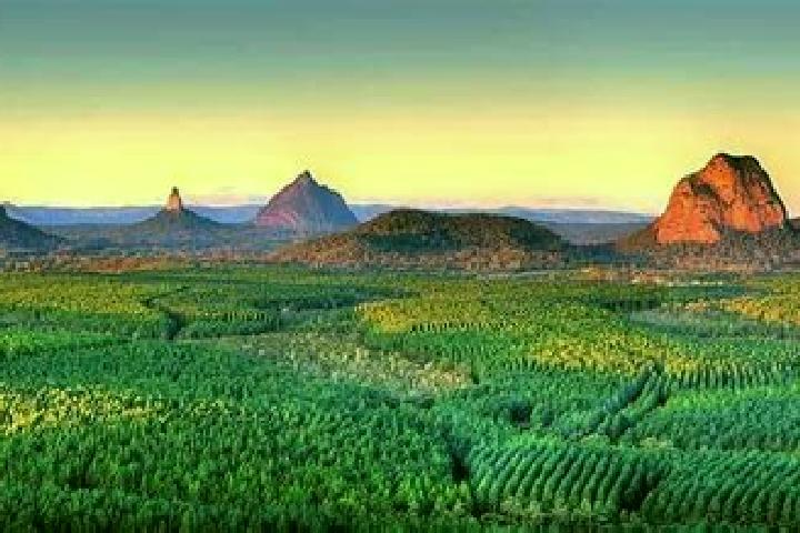 Escorts Glass House Mountains, Australia — Local Companions