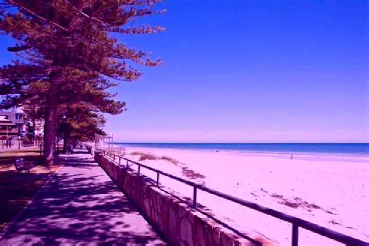 Escorts Glenelg East, Australia — Local Companions