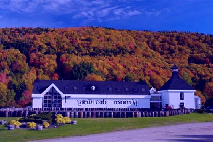 Escorts Glenora, Canada — Local Companions
