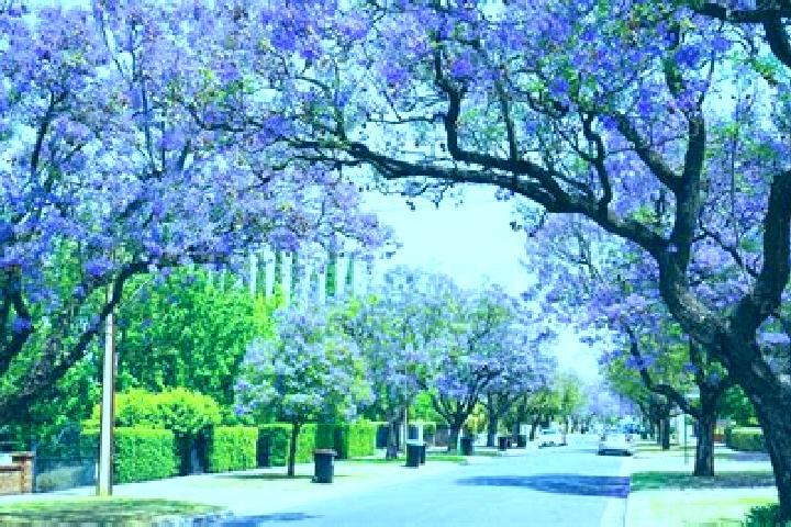 Escorts Glenside, Australia — Local Companions