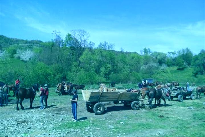 Escorts Gligoresti, Romania — Local Companions