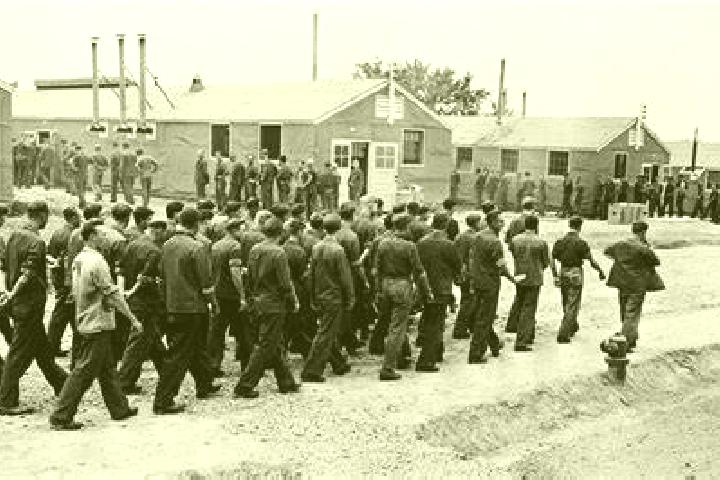 Escorts Gold Camp, United States — Local Companions