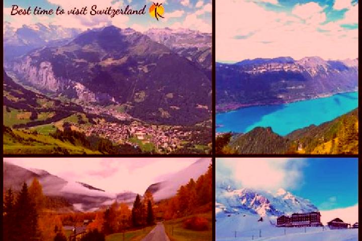 Escorts Goldach, Switzerland — Local Companions