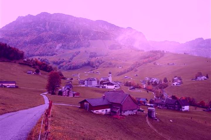 Escorts Gonten, Switzerland — Local Companions