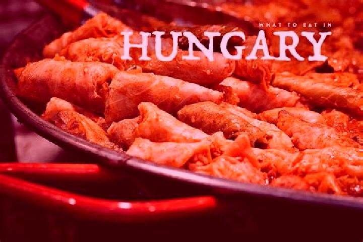 Escorts Gorbehaza, Hungary — Local Companions