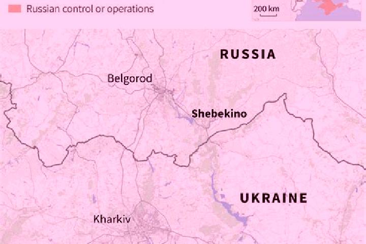 Escorts Gorod Shebekino, Russia — Local Companions