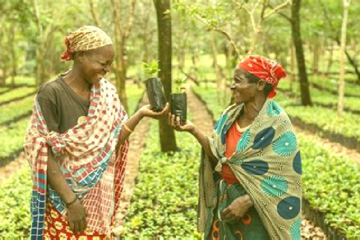 Escorts Gorongosa, Mozambique — Local Companions