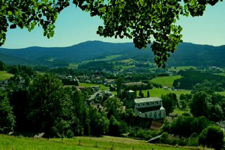 Escorts Gotteszell, Germany — Local Companions