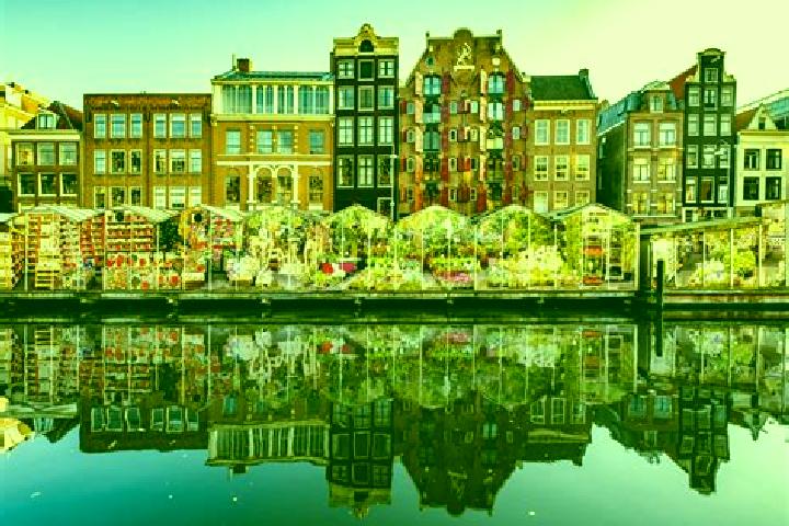 Escorts Gouda, Netherlands — Local Companions