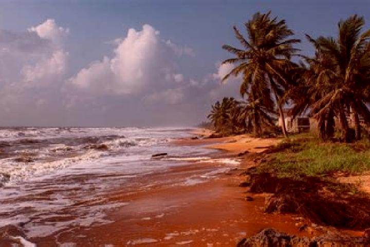 Escorts Grand-Bassam, Ivory Coast — Local Companions