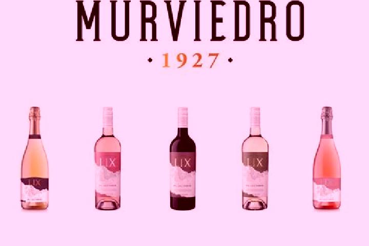 Escorts Grao de Murviedro, Spain — Local Companions