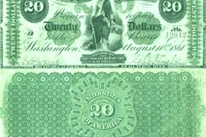 Escorts Greenback, United States — Local Companions