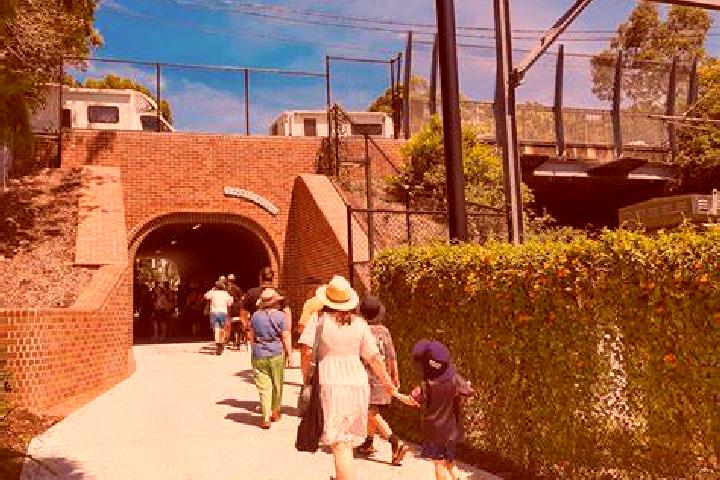 Escorts Greenway, Australia — Local Companions