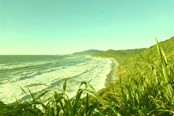 Escorts Greymouth, New Zealand — Local Companions