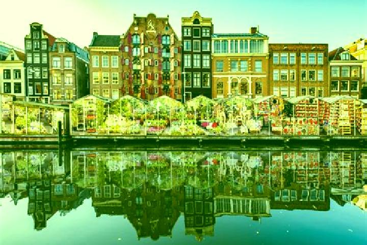 Escorts Grijpskerke, Netherlands — Local Companions