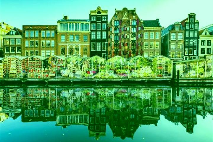 Escorts Groenewoud, Netherlands — Local Companions