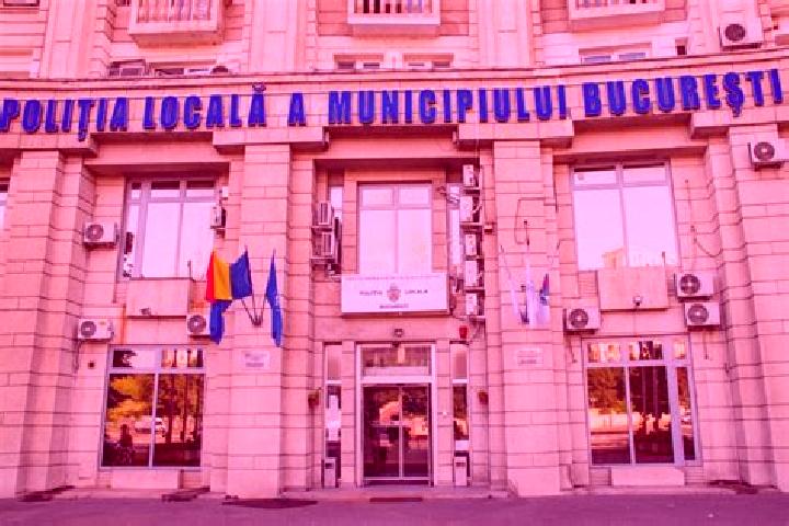 Escorts Gropeni, Romania — Local Companions