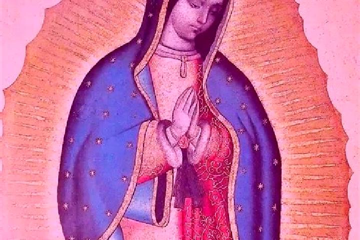 Escorts Guadalupe Bacja, Mexico — Local Companions