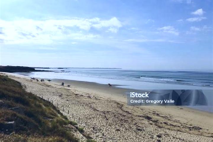 Escorts Guidel-Plage, France — Local Companions