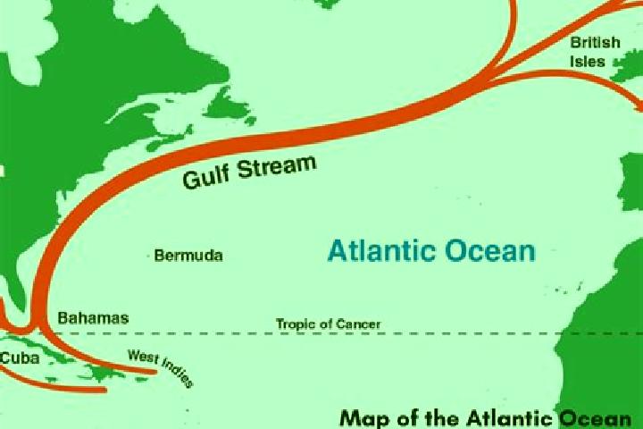 Escorts Gulf Stream, United States — Local Companions