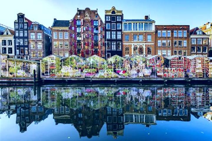 Escorts Haaften, Netherlands — Local Companions