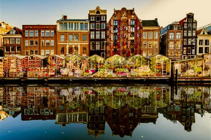 Escorts Haaren, Netherlands — Local Companions