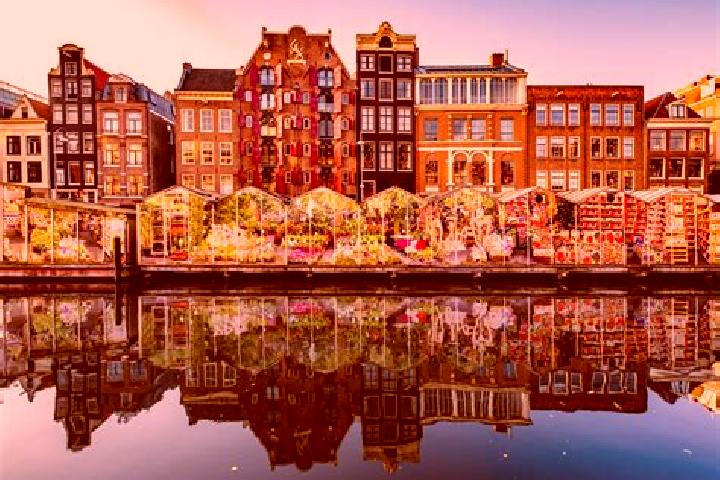 Escorts Haarsteeg, Netherlands — Local Companions