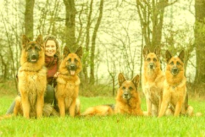 Escorts Hagenbach, Germany — Local Companions