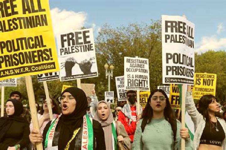 Escorts Halhul, Palestine — Local Companions